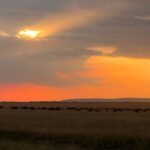 Elena Roxana Maria Fernandes Instagram - A surreal experience courtesy of @atuaenkopafrica #africa #kenya #wildlife #sunset #masaimara #elephants #masai #wilderness