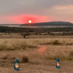 Elena Roxana Maria Fernandes Instagram - A surreal experience courtesy of @atuaenkopafrica #africa #kenya #wildlife #sunset #masaimara #elephants #masai #wilderness