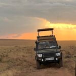 Elena Roxana Maria Fernandes Instagram - A surreal experience courtesy of @atuaenkopafrica #africa #kenya #wildlife #sunset #masaimara #elephants #masai #wilderness