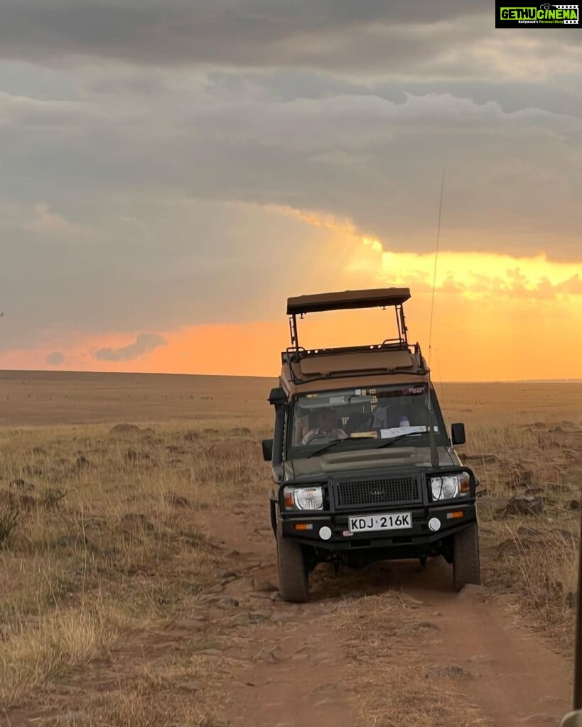 Elena Roxana Maria Fernandes Instagram - A surreal experience courtesy of @atuaenkopafrica #africa #kenya #wildlife #sunset #masaimara #elephants #masai #wilderness