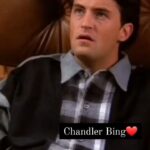 Elina Samantray Instagram - Chandler Bing❤️ @mattyperry4