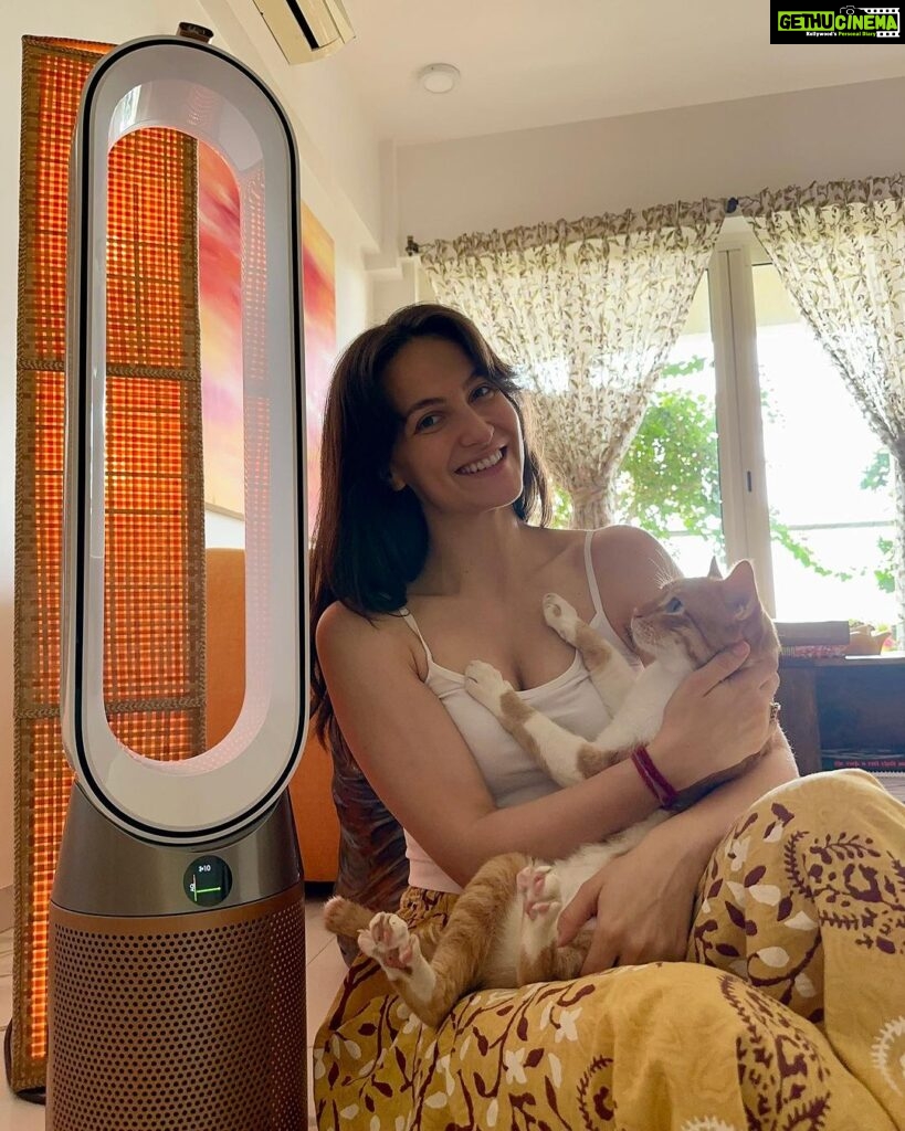 Elli AvrRam Instagram - Glad to get the Dyson Purifier Cool Formaldehyde this Diwali!🍃We are all aware of how the pollution increases during festive seasons, so having an air purifier NOW is a must! Aaaaand when you have furry babies at home, you know it’s always great to have a Dyson Purifier keeping the Air Clean!❤🤭 #DysonHome #DysonPurifier #Gifted #Diwali #Present