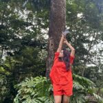 Farina Azad Instagram - Listen to nature and witness the miracle!