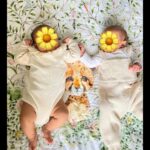 Gautam Rode Instagram - Dressing up my twins has never been this delightful! 👫💕 These snuggly, comfy cotton knitted garments from Baby Trunk keep my little ones cozy in every weather, thanks to their supreme quality. 🌦️✨ Gone are the days of waiting for friends and family to bring back luxury baby clothes from abroad. Now we have it right here in India! 🇮🇳👶 These travel-friendly pieces are versatile for any destination. Layering up for chilly places or keeping it light in air-conditioned spaces, our babies stay stylish and comfy. 😎❄️🌞 The Baby Trunk is my go-to for all things luxuriously organic and soft, from bedding to clothes. Only one wish: Can they make these in my size, too? 😅🙌 #TwinningInStyle #LuxuryBabyEssentials #TheBabyTrunkLove Since my DMs have been buzzing with questions about the bedding and clothes, here are the links to check them out https://www.thebabytrunk.com/ Click, explore, and elevate your style and comfort game! 💫