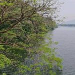 Gautami Instagram - Beautiful, majestic periyar River... She is special part of my childhood memories. Thattekkad Forest