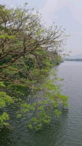 Gautami Instagram - Beautiful, majestic periyar River... She is special part of my childhood memories.