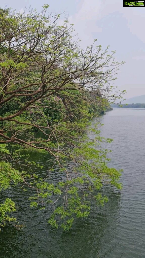 Gautami Instagram - Beautiful, majestic periyar River... She is special part of my childhood memories. Thattekkad Forest