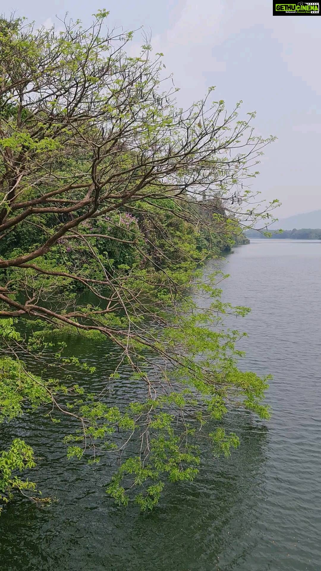 Gautami - 3.1K Likes - Beautiful, majestic periyar River... She is special part of my childhood memories.