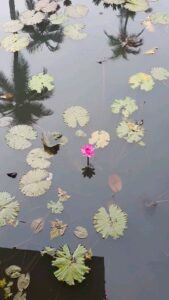 Gautami Instagram - Mother nature