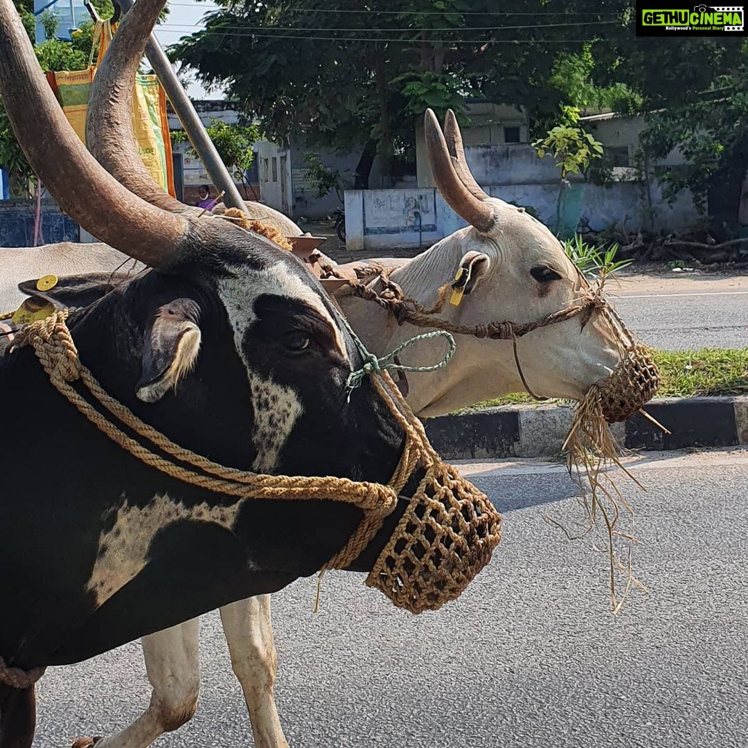 Gautami Instagram - On the way to #huzurabad for #festival