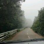 Gautami Instagram -