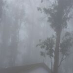 Gautami Instagram - Ooty & Coonoor, Nilgiri Hills, Tamil Nadu