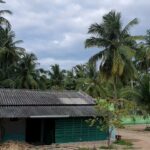 Gautami Instagram -
