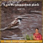 Gautami Instagram - நம் இல்லங்களைச் சுற்றி வந்த இந்த சிறிய பறவைகள் இன்று அரிதாகி வருகின்றன. உலக சிட்டுக் குருவிகள் தினமான இன்று, சிட்டுக் குருவிகளை பாதுகாக்க உறுதி ஏற்போம்... #WorldSparrowDay #worldsparrowday2021 #சிட்டுக்குருவி #உலகசிட்டுக்குருவிகள்தினம்