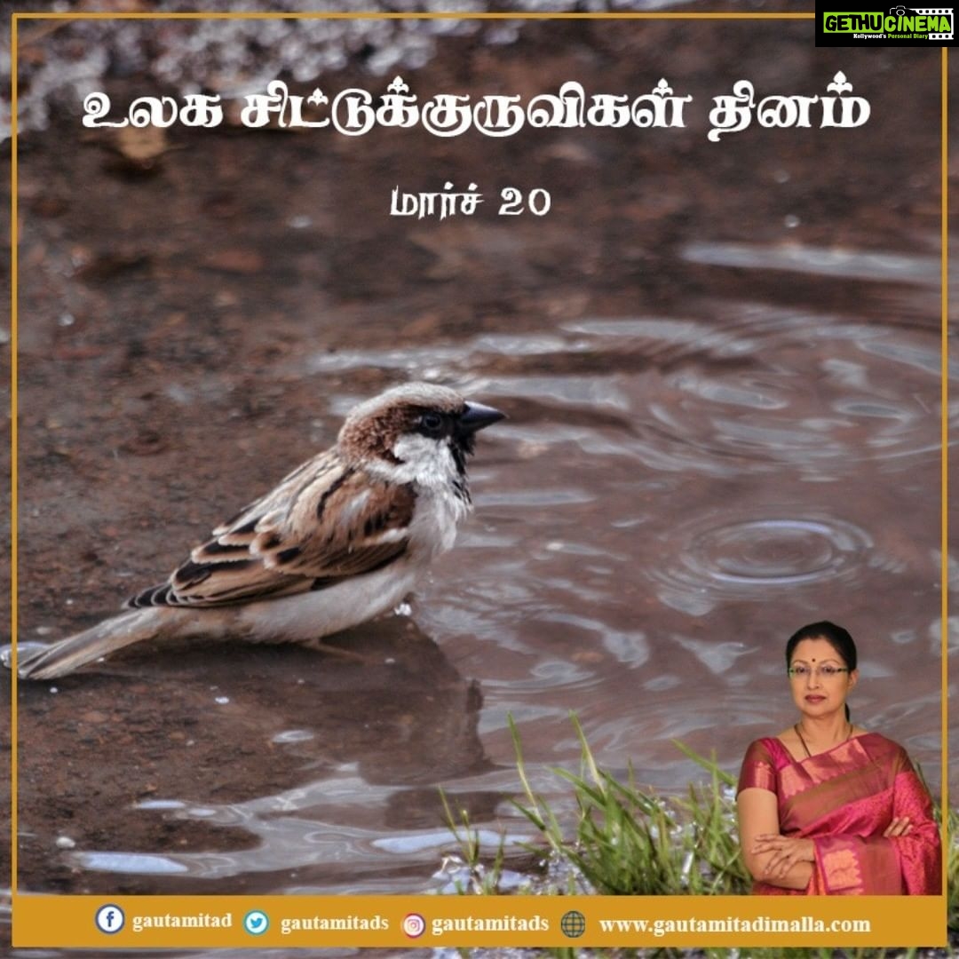 Gautami Instagram - நம் இல்லங்களைச் சுற்றி வந்த இந்த சிறிய பறவைகள் இன்று அரிதாகி வருகின்றன. உலக சிட்டுக் குருவிகள் தினமான இன்று, சிட்டுக் குருவிகளை பாதுகாக்க உறுதி ஏற்போம்... #WorldSparrowDay #worldsparrowday2021 #சிட்டுக்குருவி #உலகசிட்டுக்குருவிகள்தினம்