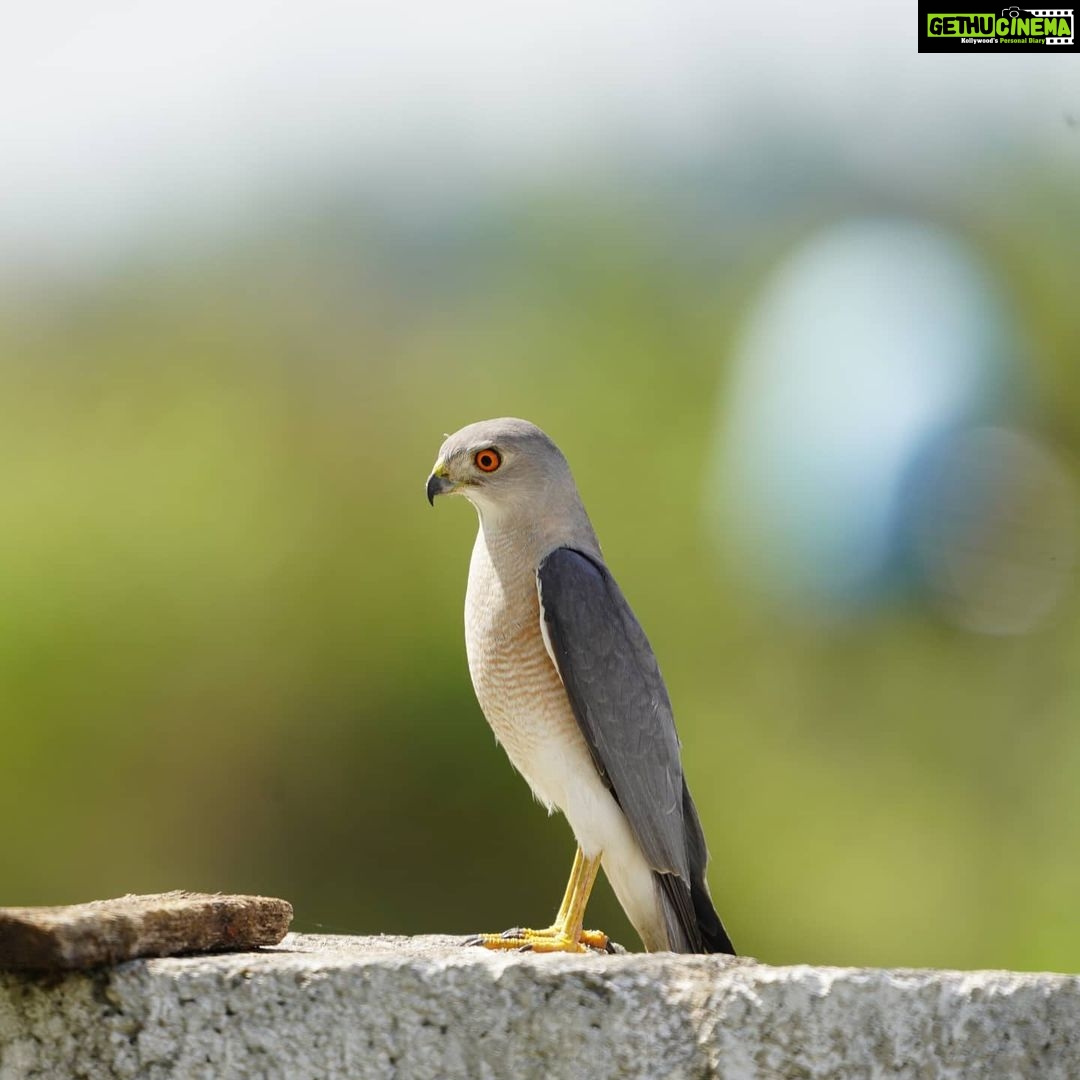 Gautami Instagram - I captured this beautiful, in around #rajapalayam Rajapalayam