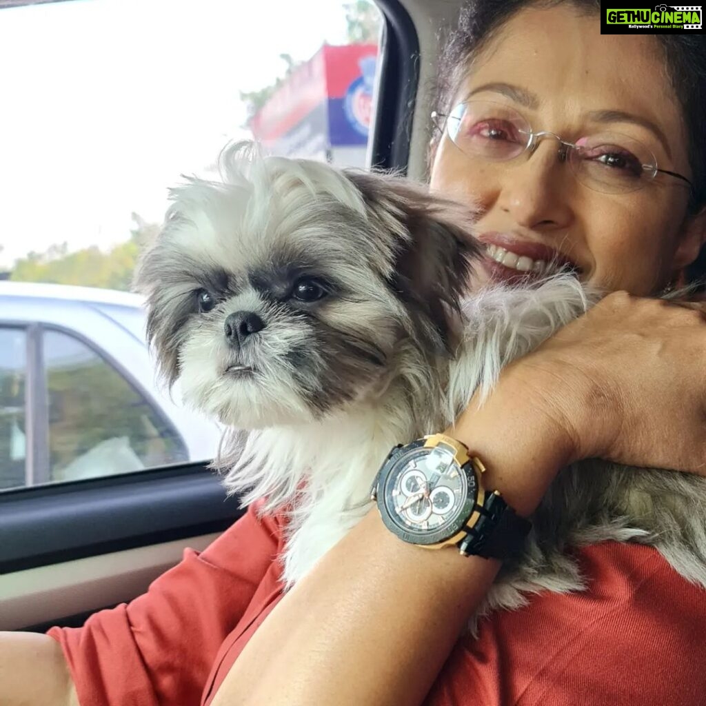Gautami Instagram - 6th furry baby in the family......