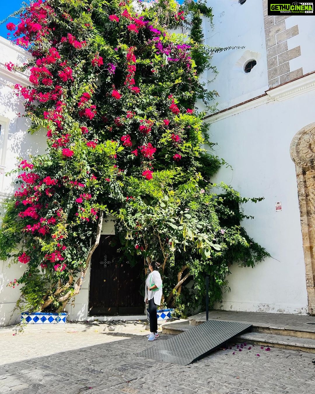Grace Antony Instagram - What’s the hype? This sum light..🪩 . . . . 📸 @teresajunie #europe #vacation #tarifa #graceantony Tarifa