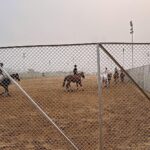 Harnaaz Kaur Sandhu Instagram - It’s a comeback day 🐎💗 #horseriding Mumbai, Maharashtra