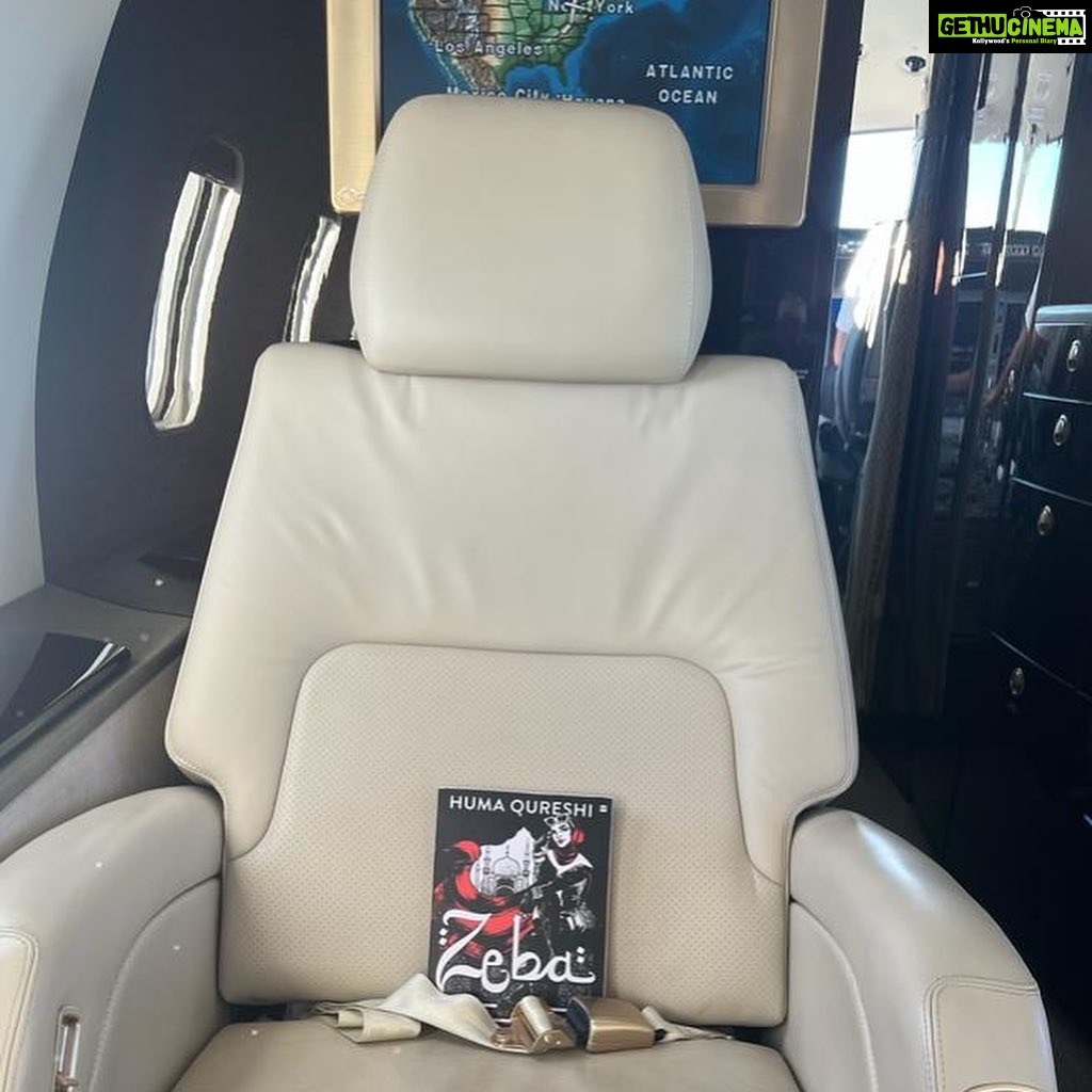 Huma Qureshi Instagram - So have you pre-ordered #Zeba yet ? Or Iโm going to make every New Yorker pose with the book.. or just leave copies of it on airplane seats to create minor stampedes (lol) @harpercollinsin @asuitableagency We may need an intervention ! ๐ #excited #author #book #debut #writer #newyork