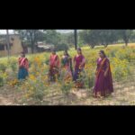 Ishika Singh Instagram – Glimpse from the recent shoot in farms #actorslife🎬 #actorslife #actorattfi #actorlife🎬🎥 #shooting #shootingday📸