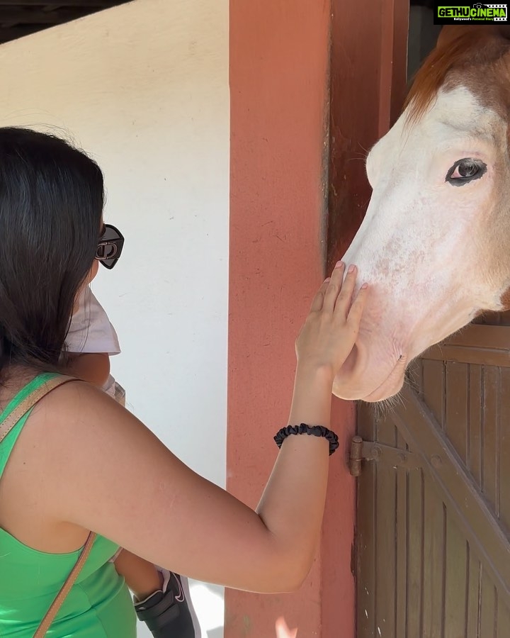 Izabelle Leite Instagram - beautiful day馃尀馃挌馃寛 Haras P么r do Sol