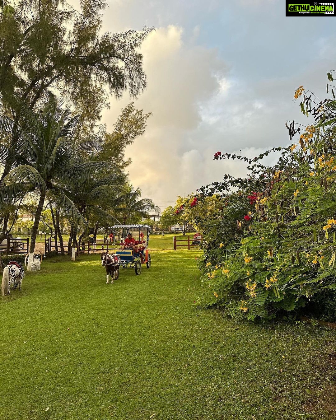 Izabelle Leite Instagram - beautiful day馃尀馃挌馃寛 Haras P么r do Sol