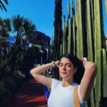Izabelle Leite Instagram - hell🌞 Marrakech🐪 you’re hot ❤️‍🔥🌵 Le Jardin Majorelle