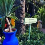 Izabelle Leite Instagram - hell🌞 Marrakech🐪 you’re hot ❤️‍🔥🌵 Le Jardin Majorelle