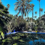 Izabelle Leite Instagram - hell🌞 Marrakech🐪 you’re hot ❤️‍🔥🌵 Le Jardin Majorelle