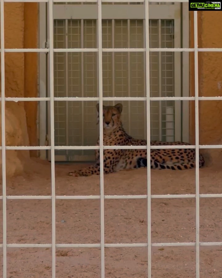 Izabelle Leite Instagram - little moments big memories 🥰🥹🧿 Alkhor Park & Zoo-Qatar