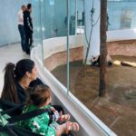 Izabelle Leite Instagram - little moments big memories 🥰🥹🧿 Alkhor Park & Zoo-Qatar