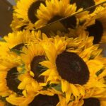 Izabelle Leite Instagram – there are days
when the light flickers
and then i remember
i am the light
i go in and
switch it back on

-power 🌻✨