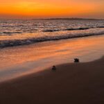 Janki Bodiwala Instagram - 🎶🍹🍕☀️🌊