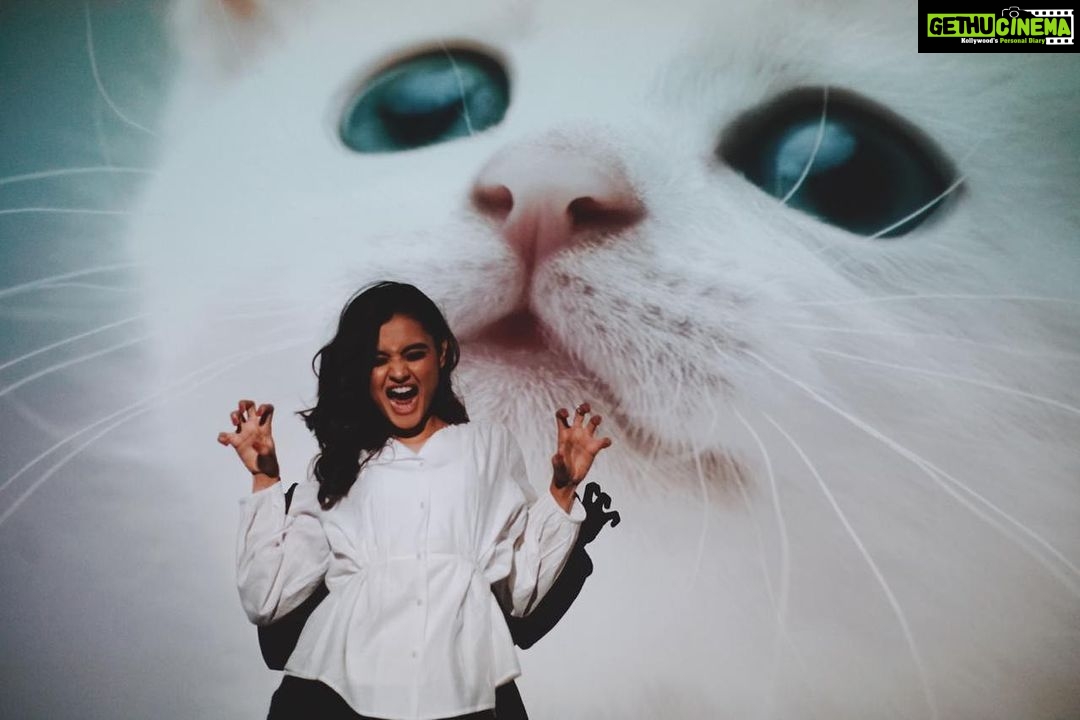 Janki Bodiwala Instagram - Cattitude 🐾 . . . @aanandshukla
