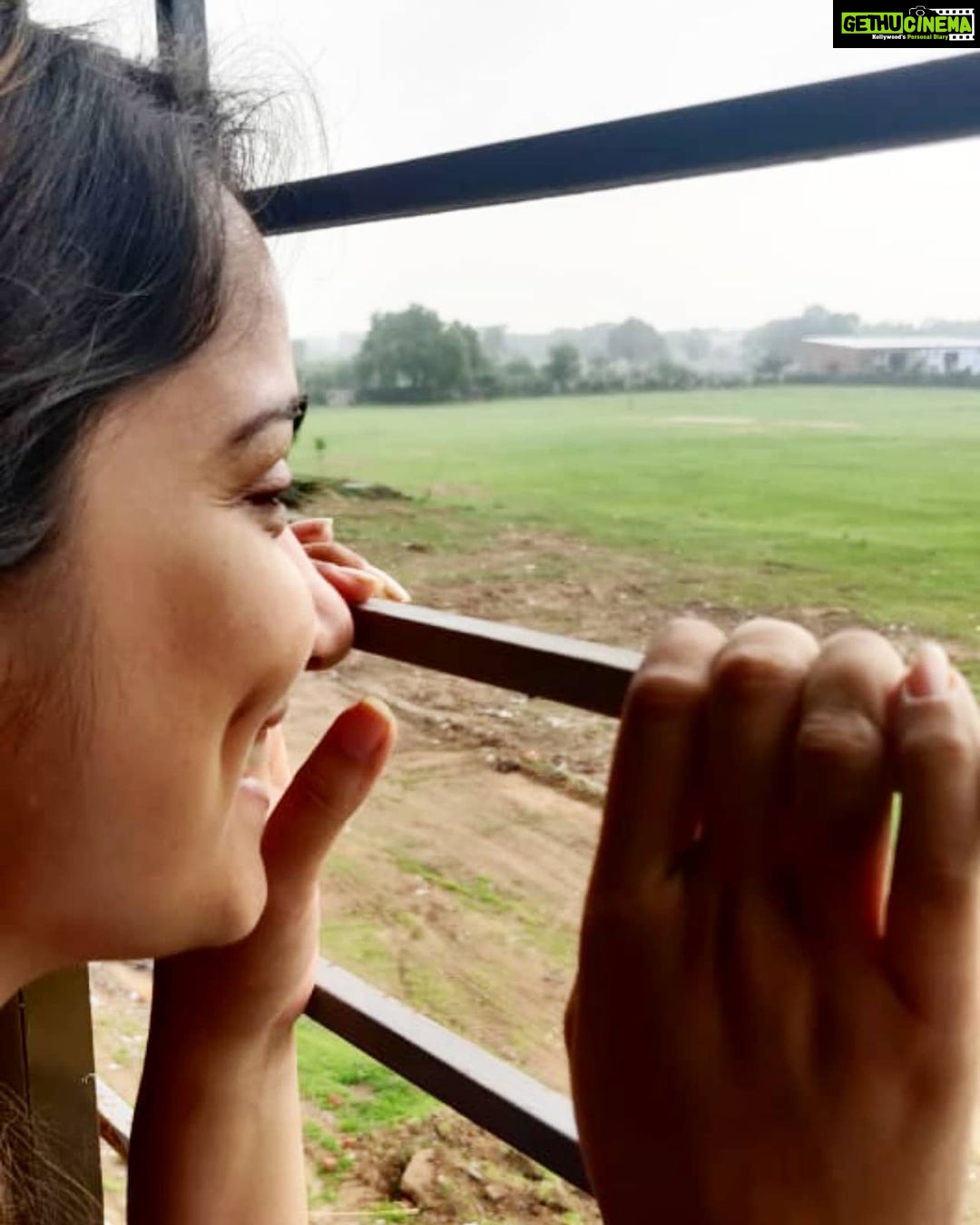 Jinal Belani Instagram - There is massive presence of Peacocks in Ahmedabad. Peacocks casually moving around, is an easy-sight. This picture was taken when I was looking at one, dancing in the rain in an attempt to woo Peahen. Life is Good ☺️💖 . .PC - @deep_dholakia