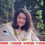 Jinal Belani Instagram -