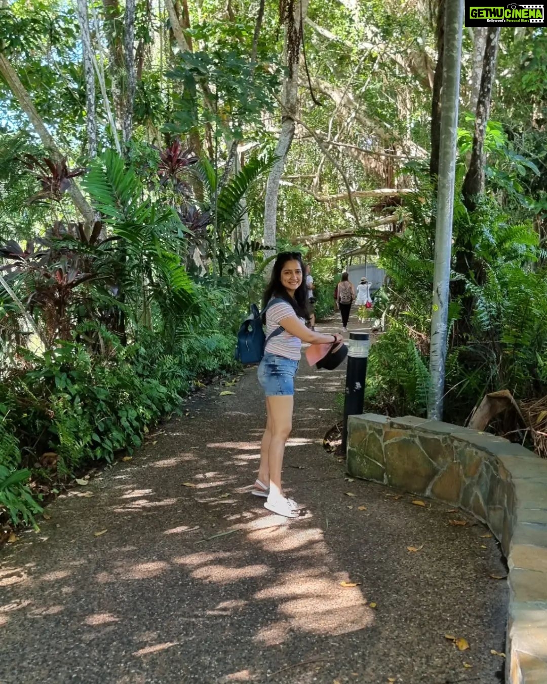 Jinal Belani Instagram - Kuranda Rainforest #photodump I was amazed to look at huge trees (Bull kauri) which are called 'King of the Jungle'. Our guide said these trees can become king of the jungle because they are the only tree species which does not allow any toxicity to develop around them. It made me think for quite a while :)