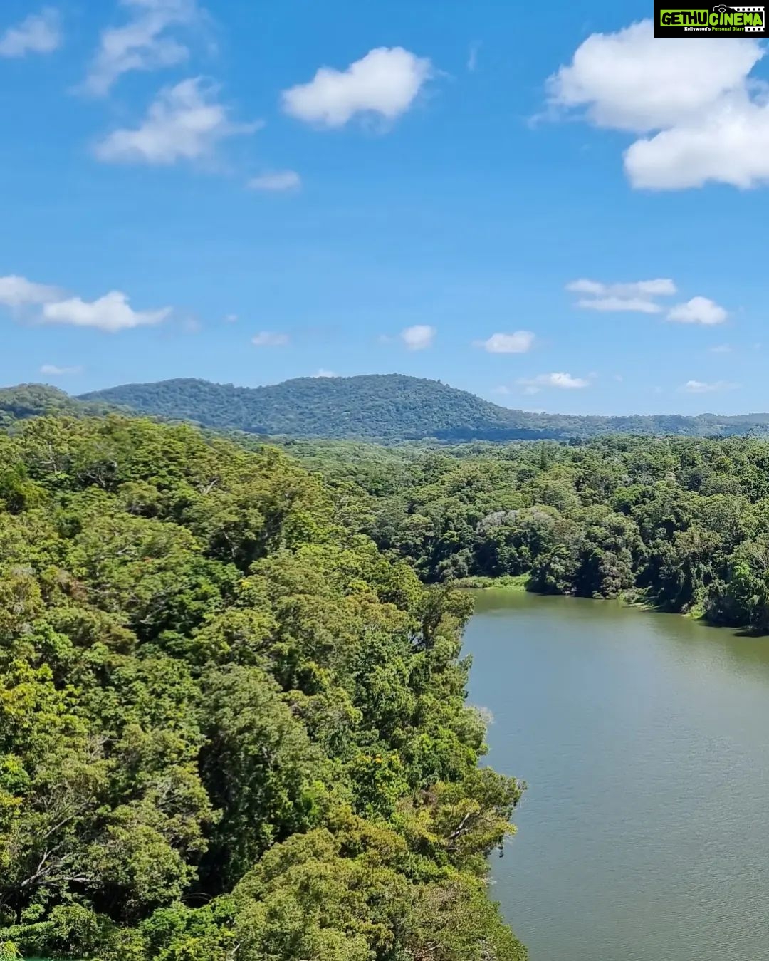 Jinal Belani Instagram - Kuranda Rainforest #photodump I was amazed to look at huge trees (Bull kauri) which are called 'King of the Jungle'. Our guide said these trees can become king of the jungle because they are the only tree species which does not allow any toxicity to develop around them. It made me think for quite a while :)