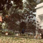 Jovika vijaykumar Instagram – Just calm down and feel the sand under your foot, the salt in the air, listen to a prayer of whichever faith and look at pretty flowers once in a while Auroville