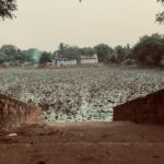 Jovika vijaykumar Instagram – Just calm down and feel the sand under your foot, the salt in the air, listen to a prayer of whichever faith and look at pretty flowers once in a while Auroville