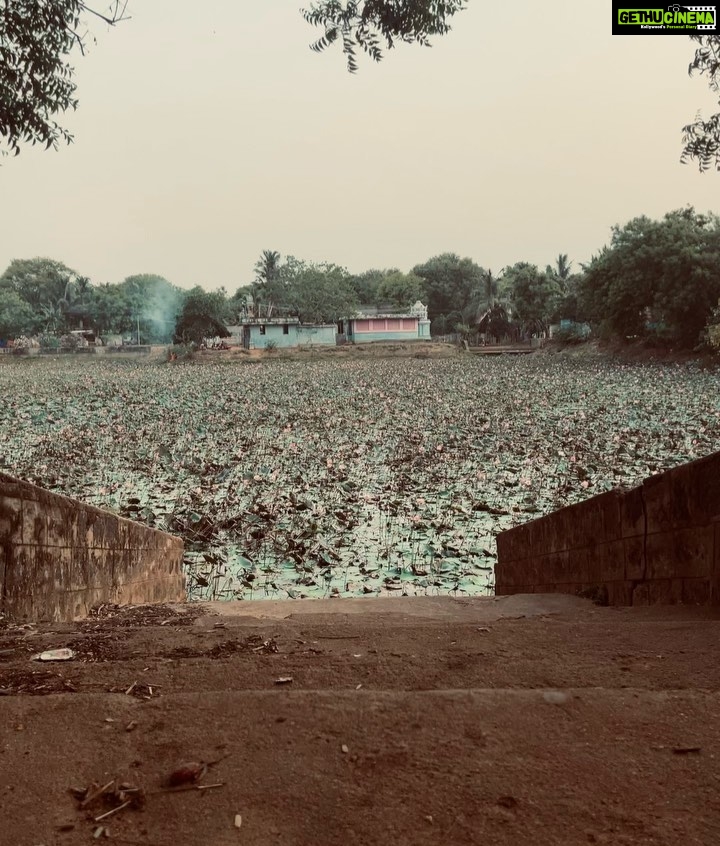 Jovika vijaykumar Instagram - Just calm down and feel the sand under your foot, the salt in the air, listen to a prayer of whichever faith and look at pretty flowers once in a while Auroville