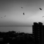 Jovika vijaykumar Instagram - If fear creeps in stare at it, if it can creep in it can crawl out Versova, Mumbai