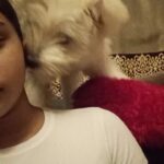 Jovika vijaykumar Instagram - He was obsessed with that pillow