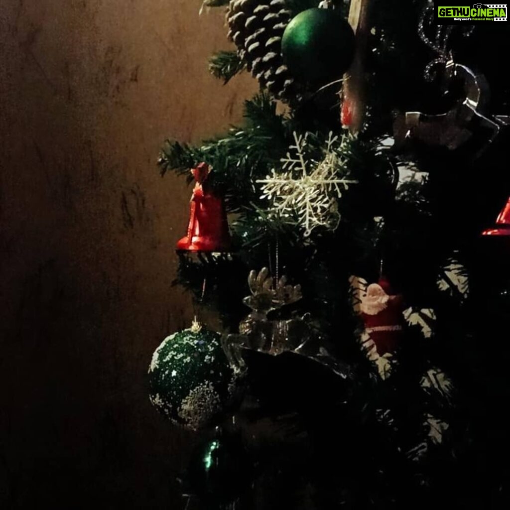Jovika vijaykumar Instagram - A very Merry Christmas