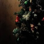 Jovika vijaykumar Instagram - A very Merry Christmas