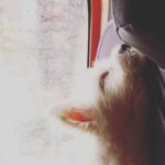 Jovika vijaykumar Instagram – ✨Smitten✨
– Rasputin