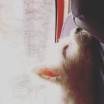 Jovika vijaykumar Instagram - ✨Smitten✨ - Rasputin