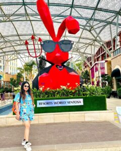 Kaavya Singh Instagram - #singapore🇸🇬 #universalstudios #singaporelife #music #travelphotography #travelling #feelingblessed #omnamahshivaya 🔱❤️🙏🏻🧿