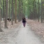 Kajal Nishad Instagram - Haaye🥰 #forestlovers